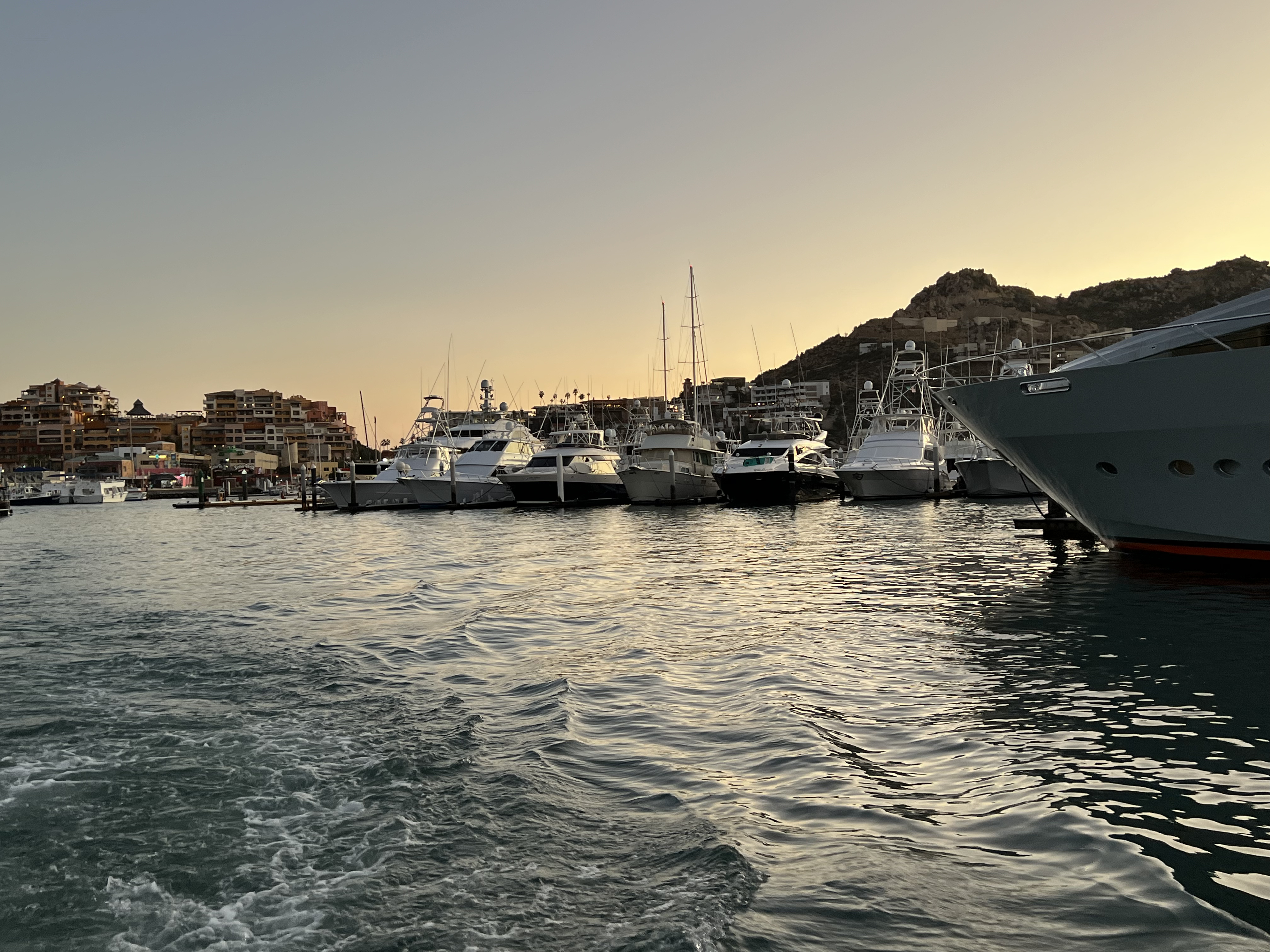 ./2024/13 - Cabo/IMG_4845.jpg